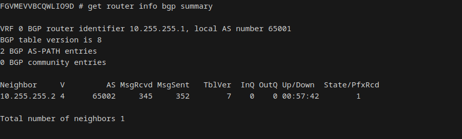 On-prem FortiGate BGP summary, neighbor Established
